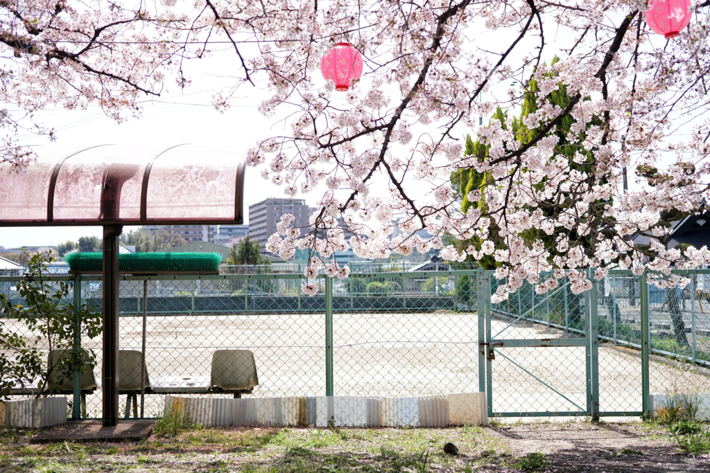 f:id:gyama_d:20180331152914j:plain f:id:gyama_d:20180331152914j:plain