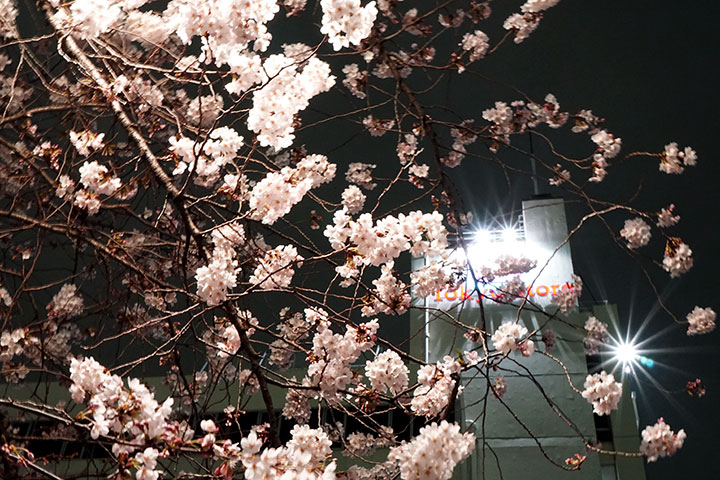 f:id:gyamako:20180324175213j:plain f:id:gyamako:20180324175213j:plain