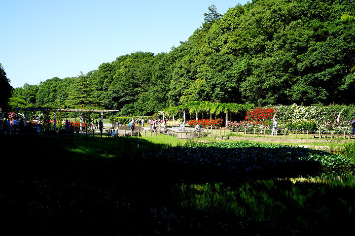 f:id:gyamako:20180523162100j:plain f:id:gyamako:20180523162100j:plain