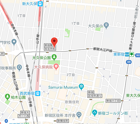 f:id:gyamako:20190202122318j:plain