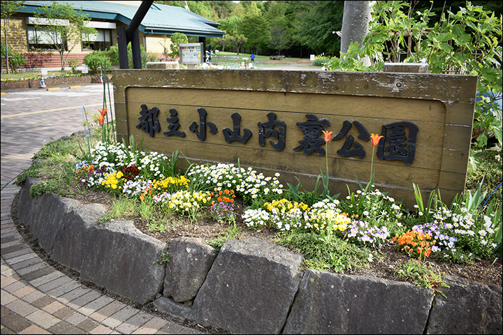 f:id:gyamako:20190516124255j:plain