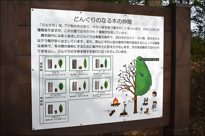 f:id:gyamako:20190516124343j:plain