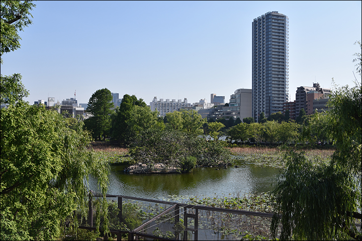 f:id:gyamako:20190526130427j:plain f:id:gyamako:20190526130427j:plain