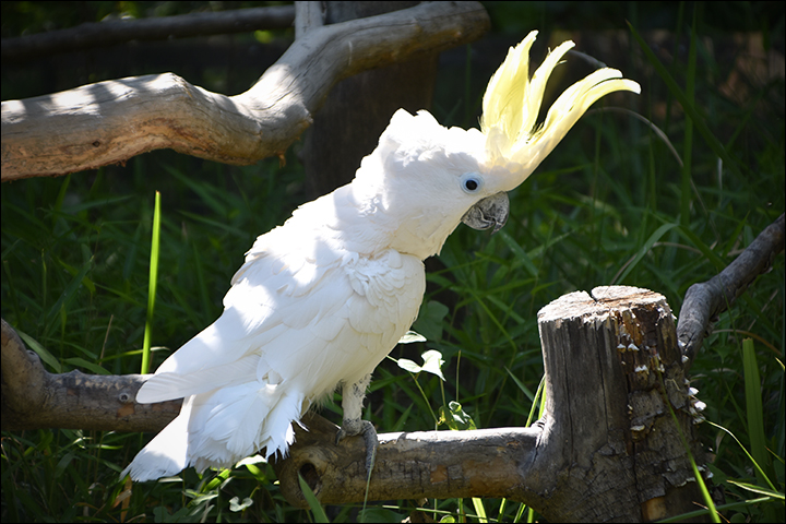 f:id:gyamako:20190526132624j:plain f:id:gyamako:20190526132624j:plain
