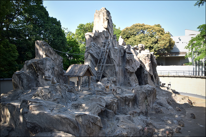 f:id:gyamako:20190526133346j:plain f:id:gyamako:20190526133346j:plain