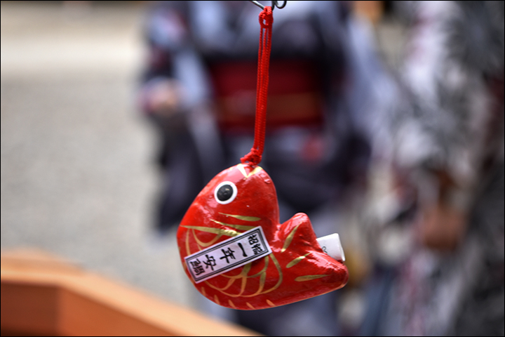 f:id:gyamako:20190617135323j:plain f:id:gyamako:20190617135323j:plain