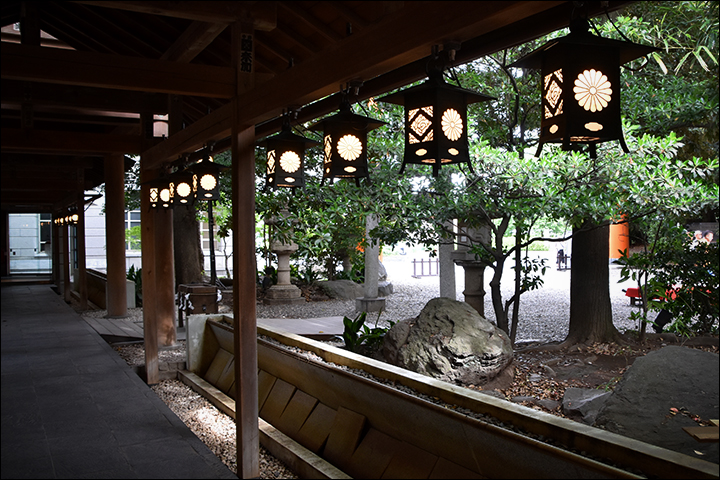 f:id:gyamako:20190617135452j:plain f:id:gyamako:20190617135452j:plain