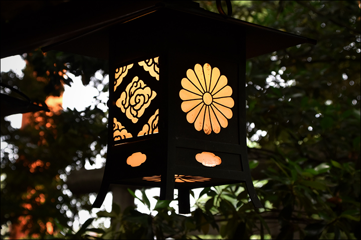 f:id:gyamako:20190617135501j:plain f:id:gyamako:20190617135501j:plain