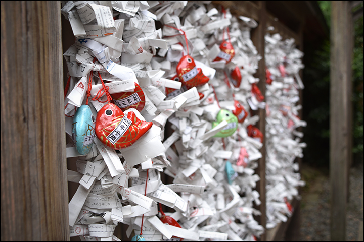 f:id:gyamako:20190617135515j:plain f:id:gyamako:20190617135515j:plain