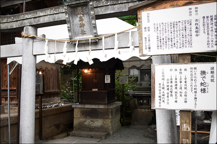 f:id:gyamako:20190621143642j:plain f:id:gyamako:20190621143642j:plain