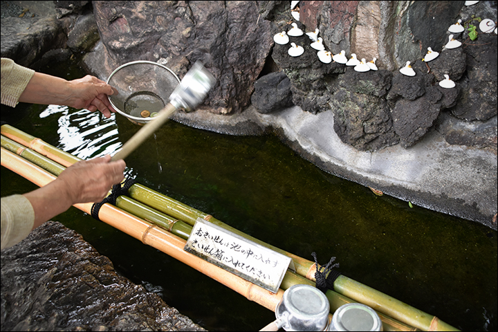 f:id:gyamako:20190621143658j:plain f:id:gyamako:20190621143658j:plain