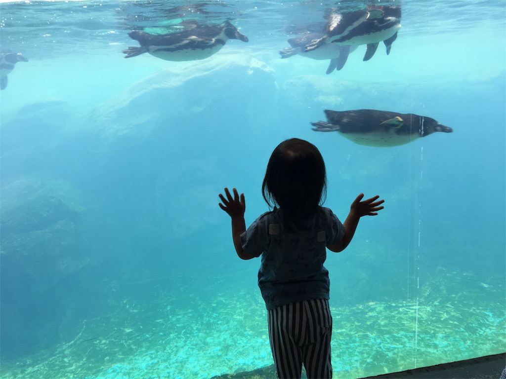 f:id:gyaoo_ss:20170704104125j:image f:id:gyaoo_ss:20170704104125j:image