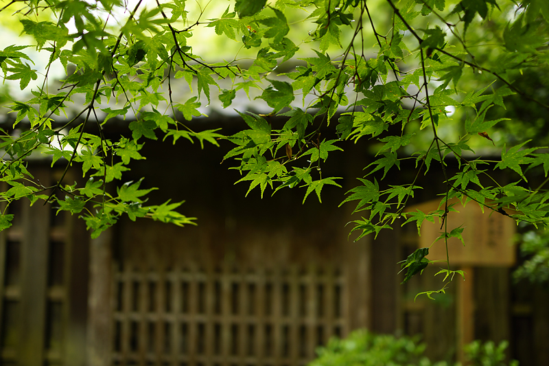 f:id:gyaos55:20120610102437j:image