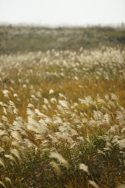 f:id:gyaos55:20121027153711j:image f:id:gyaos55:20121027153711j:image