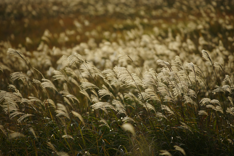 f:id:gyaos55:20121027160107j:image f:id:gyaos55:20121027160107j:image