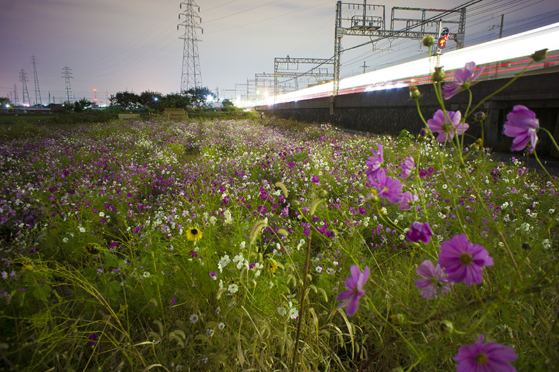 f:id:gyaos55:20121031215543j:image