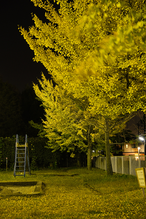 f:id:gyaos55:20121114215916j:image