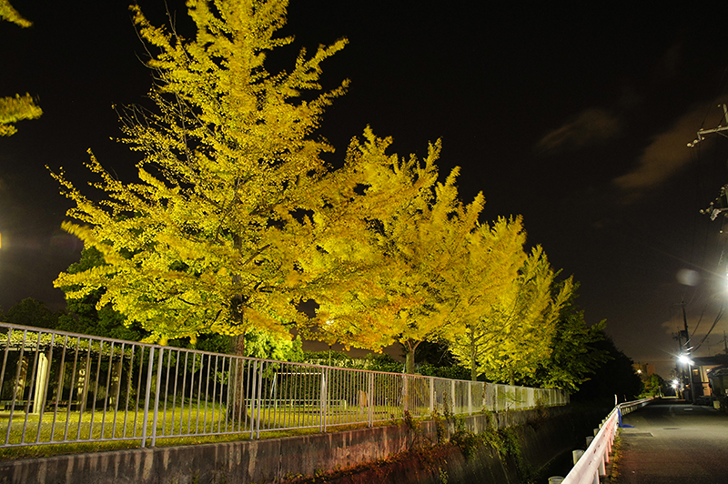 f:id:gyaos55:20121114221330j:image