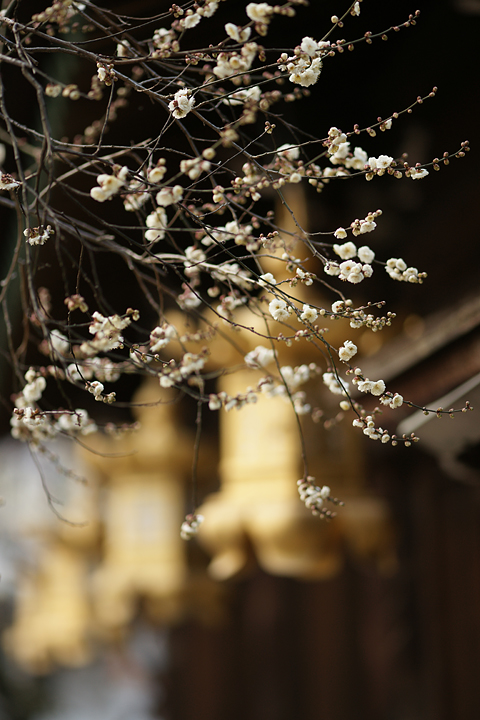 f:id:gyaos55:20130224154144j:image