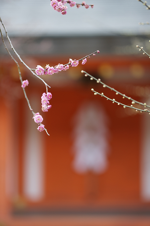 f:id:gyaos55:20130224155029j:image