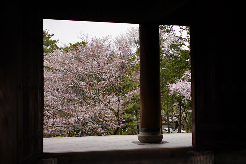 f:id:gyaos55:20140405132629j:image f:id:gyaos55:20140405132629j:image