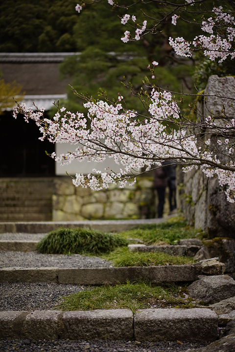 f:id:gyaos55:20140405133855j:image f:id:gyaos55:20140405133855j:image