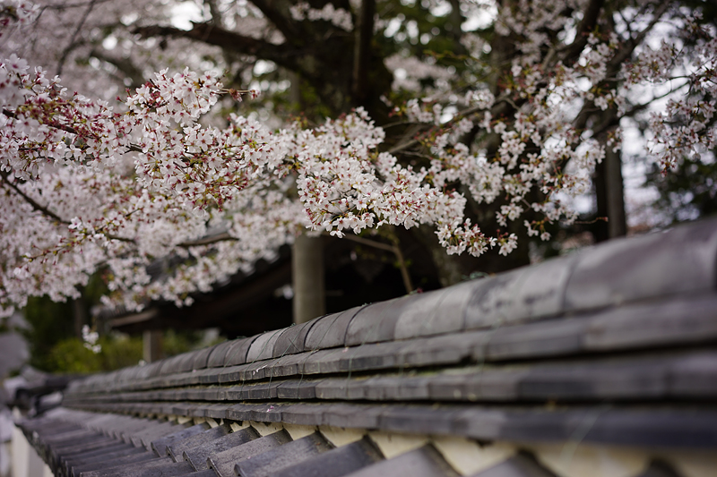 f:id:gyaos55:20140405134110j:image f:id:gyaos55:20140405134110j:image