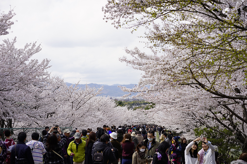 f:id:gyaos55:20140405142132j:image f:id:gyaos55:20140405142132j:image