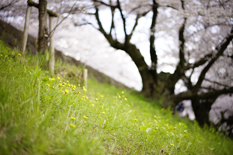 f:id:gyaos55:20140405143356j:image f:id:gyaos55:20140405143356j:image