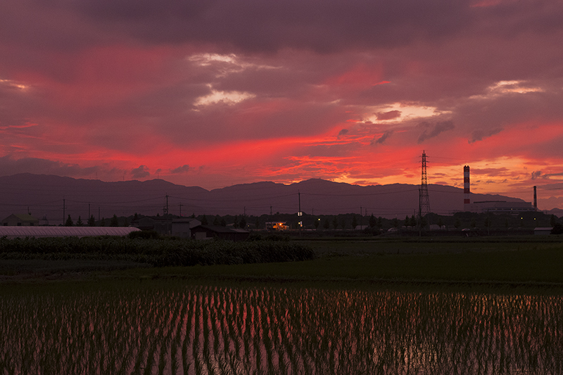 f:id:gyaos55:20140708193013j:image f:id:gyaos55:20140708193013j:image
