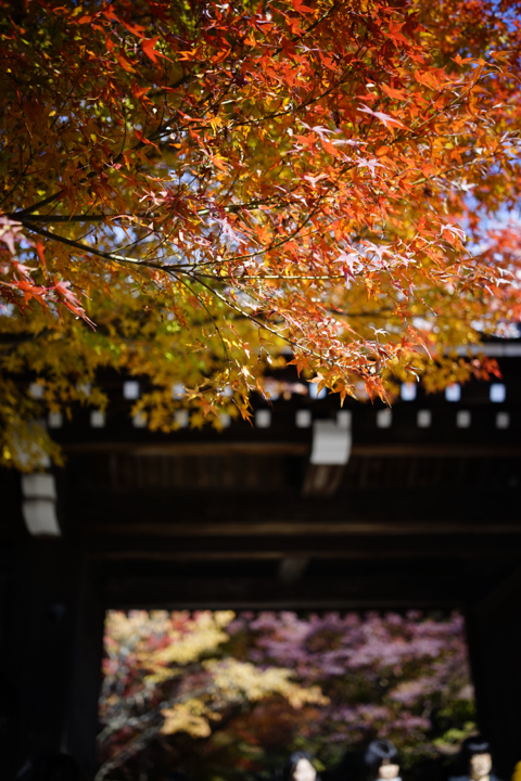 f:id:gyaos55:20141122103643j:image