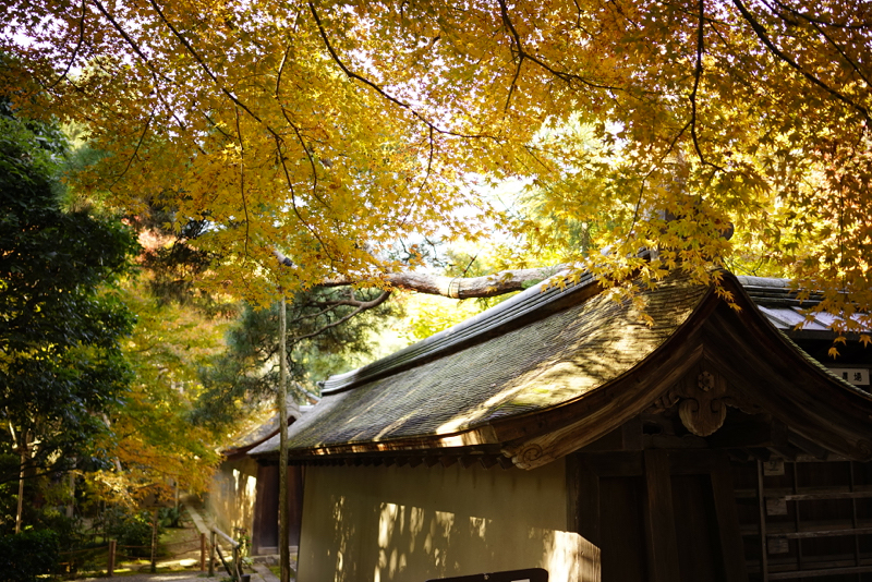 f:id:gyaos55:20141122104656j:image