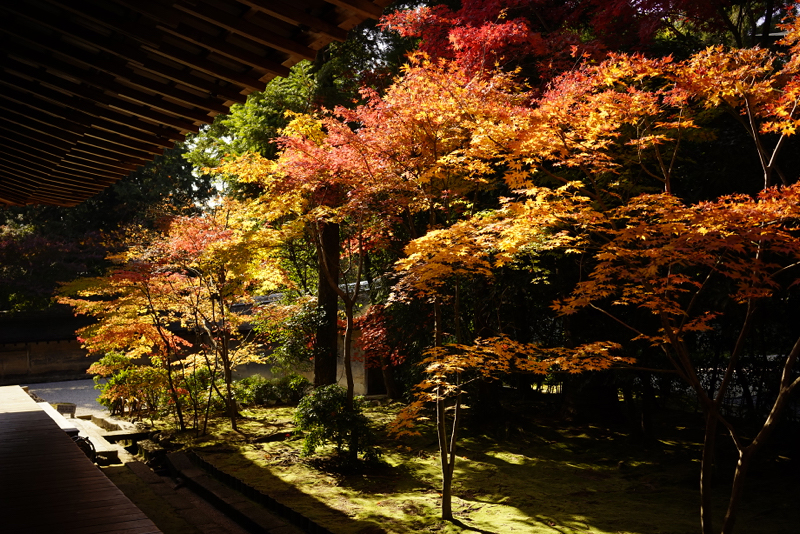 f:id:gyaos55:20141122105819j:image