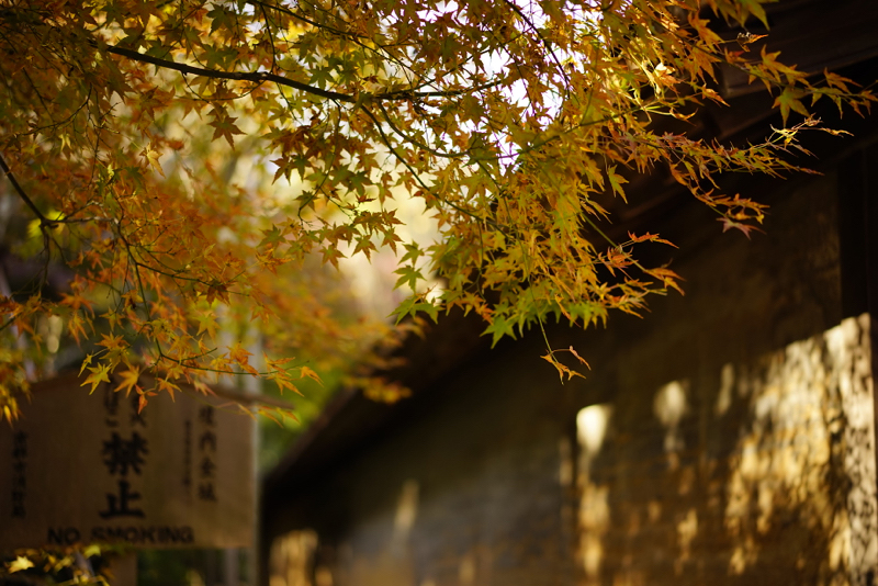 f:id:gyaos55:20141122110533j:image