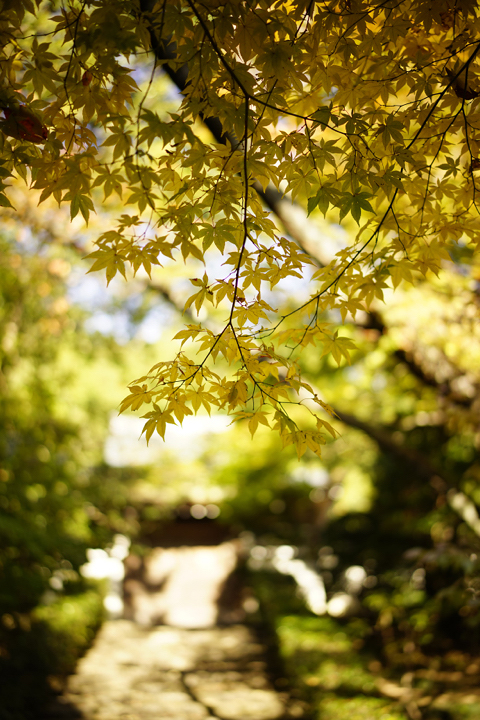 f:id:gyaos55:20141122110807j:image