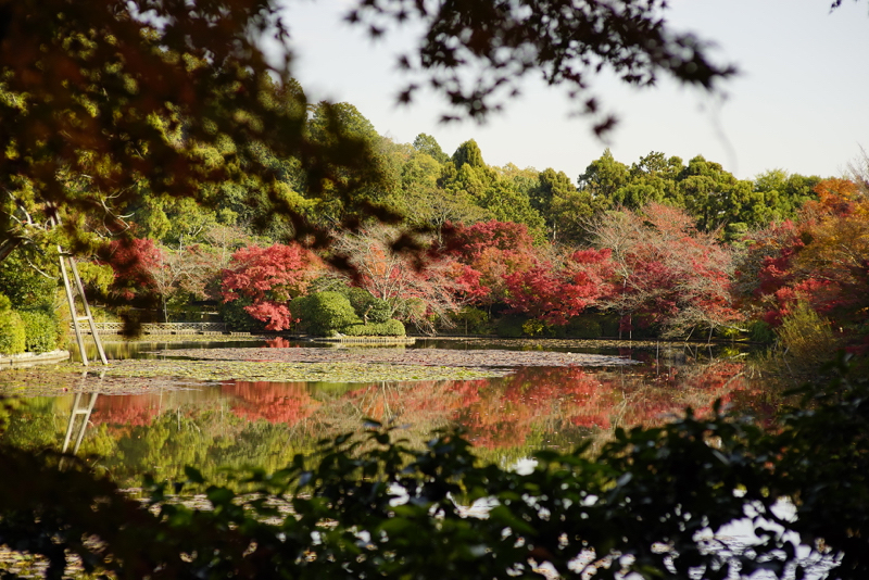 f:id:gyaos55:20141122120448j:image