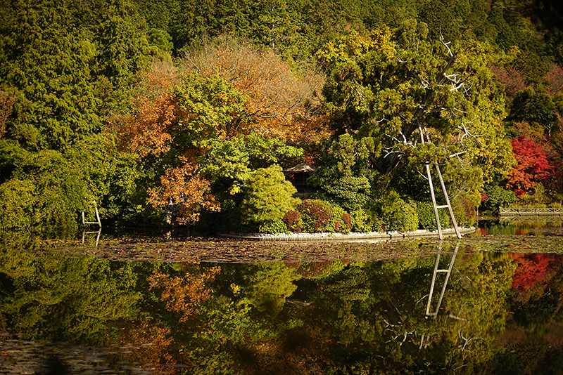 f:id:gyaos55:20141122120546j:image