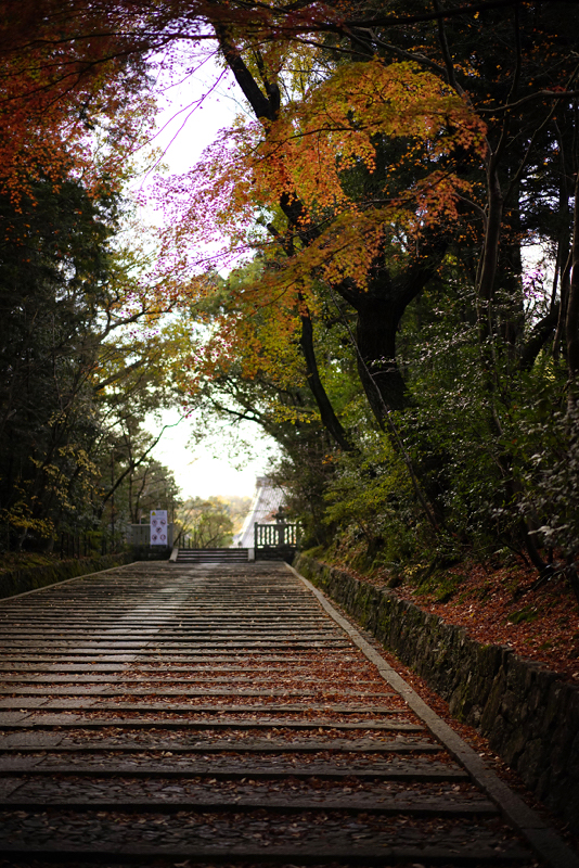 f:id:gyaos55:20141207140147j:image