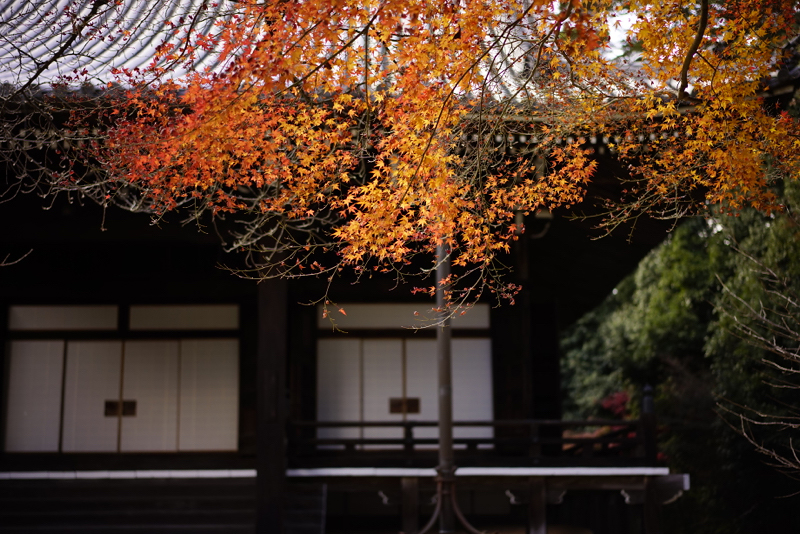 f:id:gyaos55:20141207140934j:image