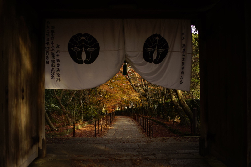f:id:gyaos55:20141207144523j:image