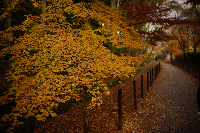 f:id:gyaos55:20141207145356j:image