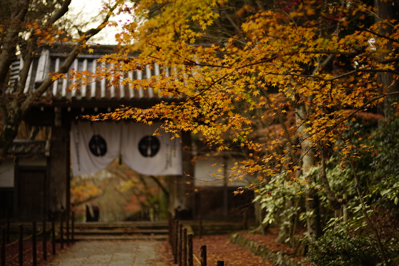 f:id:gyaos55:20141207150603j:image