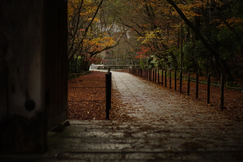 f:id:gyaos55:20141207151048j:image