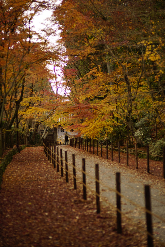 f:id:gyaos55:20141207151921j:image