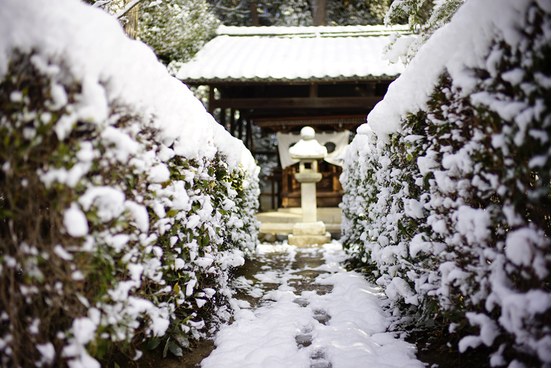 f:id:gyaos55:20150102090234j:image