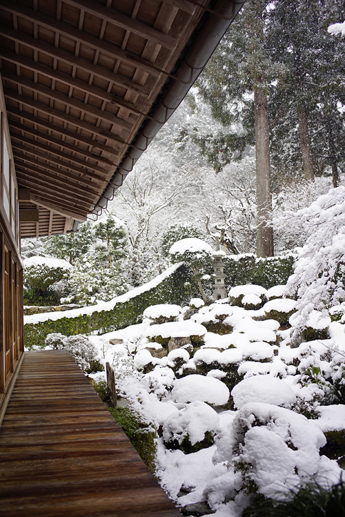 f:id:gyaos55:20150131145652j:image