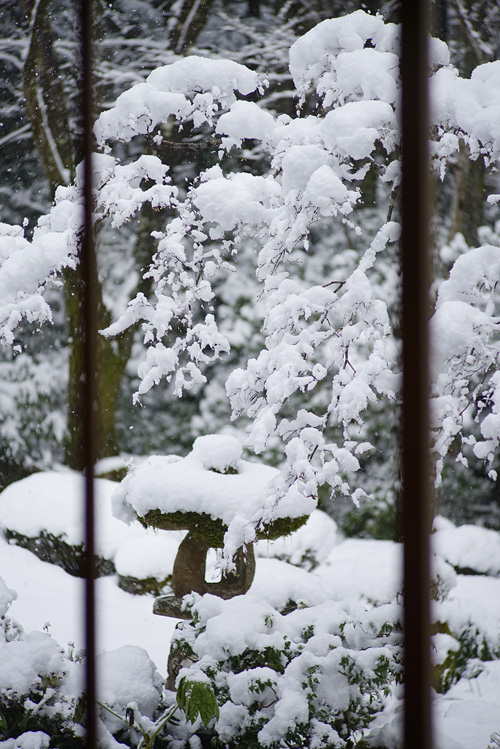 f:id:gyaos55:20150131150615j:image