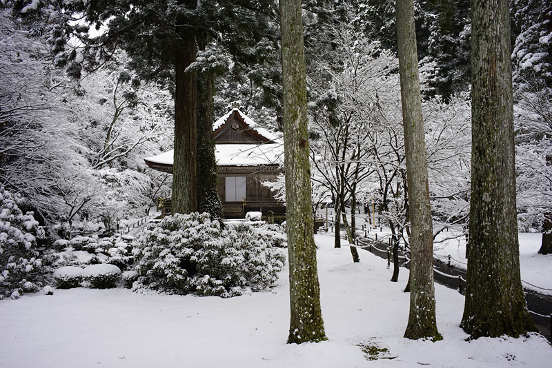 f:id:gyaos55:20150131151817j:image