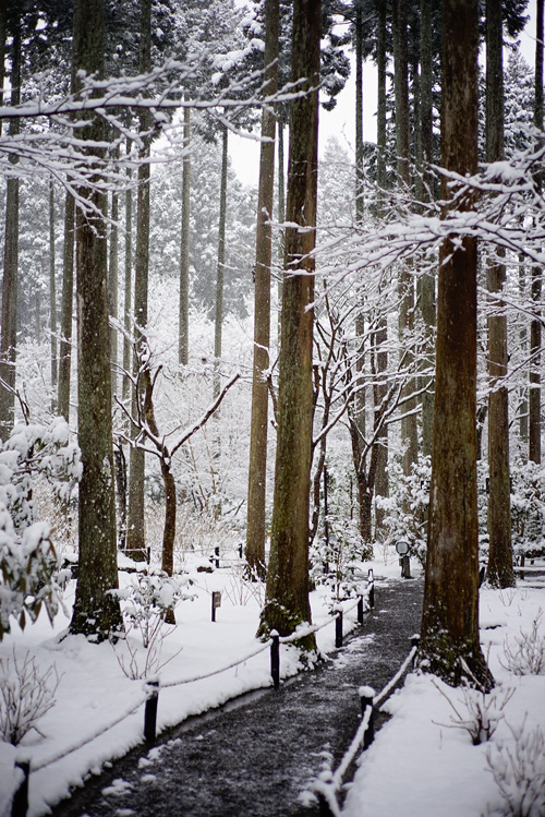 f:id:gyaos55:20150131153856j:image