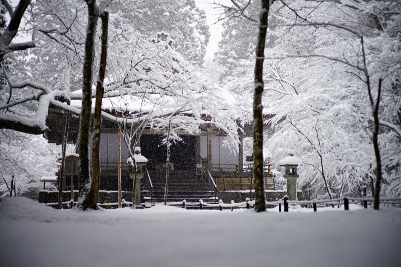 f:id:gyaos55:20150131154536j:image